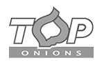 Top-Onions